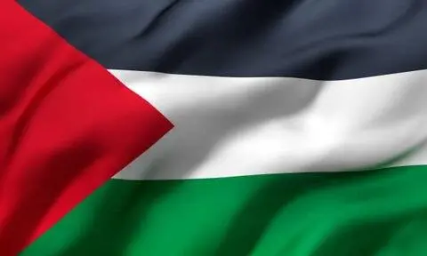Mini Palestina Flagga 20 x 30 cm