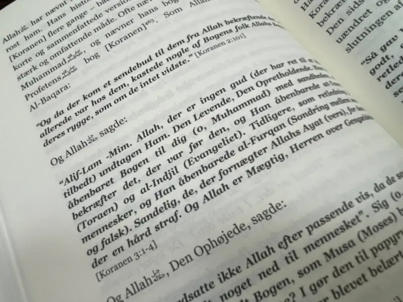 Skabelsen Og Profeternes Historier Bind 2