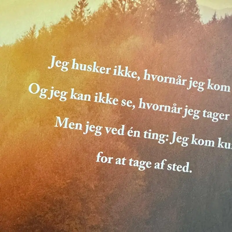 Kärlek och Lycka av Yasmin Mogahed