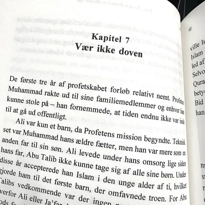 Die Einfache Seerah