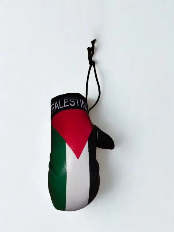 Hänge - Mini Palestina boxningshandske