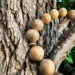 Håndlavet Tasbih med 33 Perler i Oliven Træ