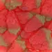 kæmpe jordbær Haribo 1,4 kg