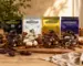 Chokolade dadler, Chocodate 33g (4 Varianter)