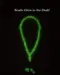 Glow In The Dark, Grünes Tasbeeh mit 99 Perlen