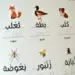 Bogstavmagi - Arabisk med Sami og Khadija